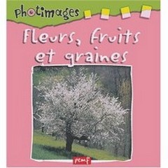 Fleurs fruit graine